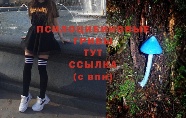 a pvp Володарск