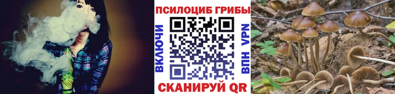 Псилоцибиновые грибы MAGIC MUSHROOMS  Купить закладки  Кувандык 